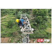 雷雨季！供电公司进行接地电阻改造 提升防雷水平
