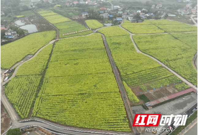 全国首批全域土地综合整治试点典型案例发布 湖南一案例成功入选