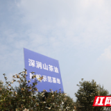 油茶丰收采摘忙 深涧山茶油制定“深涧”标准为助农赋能