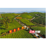 “凤出莽山红茶”绽放第二十二届中国中部（湖南）农业博览会