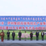 总投资41.3亿元!杭锦后旗10万头奶牛生态乳业园区开工