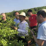 湖南“油茶人”齐聚永州共商油茶产业发展大计