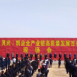 全力开工夺双胜 蒙牛灵武奶业百亿集群项目奠基