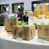 助推湘茶千亿产业发展 湖南5.21“国际茶日”活动启动