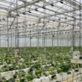 拼多多联合中国农大举办“多多农研科技大赛”