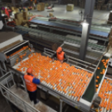 英国《经济学人》：美团、拼多多领跑中国“数字经济”热潮