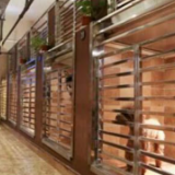 “宠物年夜饭”开卖，春节寄养费翻番