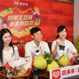 拼多多公益直播间搬进柚子林 仙游副县长直播带动文旦柚销量涨368%