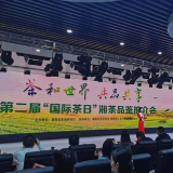 “国际茶日”看湘茶 千亿湘茶香飘世界