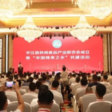 “中国辣条之乡”落户湖南平江