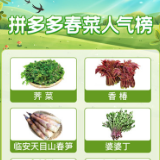 多产地直发，拼多多助力消费者实现“春菜爱马仕”自由