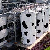 瞭望丨全面推进民族奶业振兴 保障国家粮食安全