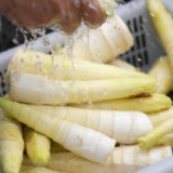 俩小伙结伴拼多多卖笋 一年营业额近两千万