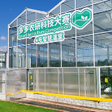 90后学霸爱上种番茄 “多多农研科技大赛”助力青年科学家探路智慧农业