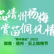 “中国杨梅之乡”的杨梅快熟了，接下来会有大动作