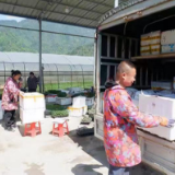 农产品搭上“电商”快车  湖南移动为乡村振兴“提档加速”