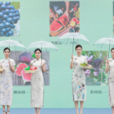 “黄桃成熟时·巷子花开”宁乡巷子口第四届黄桃节盛大启幕