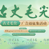 一字千金！古丈毛尖征集广告语 八万元奖金安排
