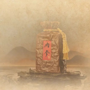 54度内参酒 | 我的经典记忆