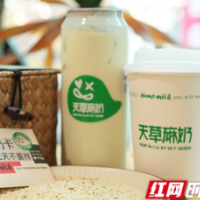 健康饮品赛道添新秀 天草麻奶全国首店亮相长沙