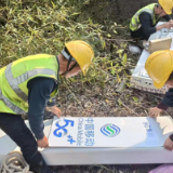 移动5G村村通丨农产品插上电商“翅膀”