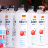 建新基地布局东南亚 广药荔小吉为广东荔枝产业发展打造新引擎