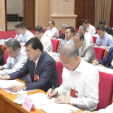 伊利集团党委书记、董事长兼总裁潘刚参加全国新型工业化推进大会