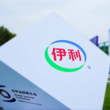 来乌镇，邂逅数智伊利