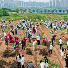 种上千棵树苗为松雅湖添绿 永旺集团长沙举办植树活动