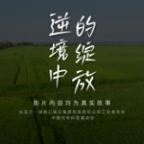 口味王“我要上大学”助学记（一）：逆境中的绽放