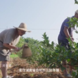 口味王“我要上大学”助学记（二）：坎坷荆棘路，少年正当强
