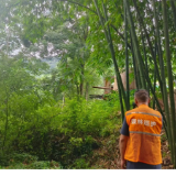 中国人寿：保险护“绿”前行