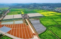 农发行资兴市支行： 1.5亿元“贷”出资兴灾后复耕复产“希望田”