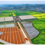 农发行资兴市支行: 1.5亿元“贷”出资兴灾后复耕复产“希望田”