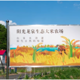 阳光财险：守护延边产业脉 温暖乡村振兴路