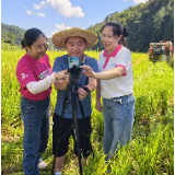 从“靠天吃饭”到“看屏管理”！湖南移动助力农业数字化转型