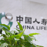 守护·关怀 中国人寿让每个客户都被温柔以待