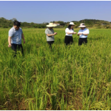 中华财险衡阳中支祁东县支公司深入乡镇查勘定损