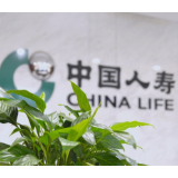 赔付超4400万件！中国人寿2025年三季度寿险理赔服务报告发布