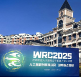 硬核护航!WRC2025 湖南选拔赛在郴州智能科技职院圆满落幕