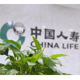 中国人寿:以中国特色金融文化绘就民生服务新图景
