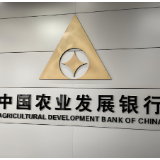 农发行华容县支行开展消防培训演练 筑牢安全防线