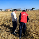 人保财险宁乡支公司以专业保险力量护航农业高质量发展