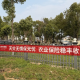 中华财险宁乡市支公司开展农业保险政策宣传