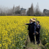 湖南农信系统支持春耕备耕拉满进度条