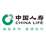 A级跃升看国寿ESG实践：揭秘绿色金融活水如何浇灌“双碳”目标