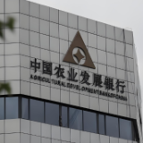 农发行临澧县支行投放1亿元贷款高效赋能乡村振兴