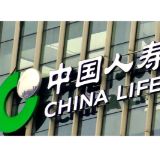 携手八年，中国人寿·NYBO全国总决赛发布会启幕草原篮球盛宴