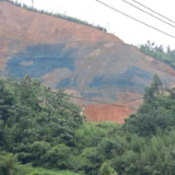 农发行桂阳县支行“金融画笔”绘就嘉禾矿山复绿新图景