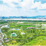 漫步湿地，亲近自然 大泽湖近自然湿地公园5月30日开园